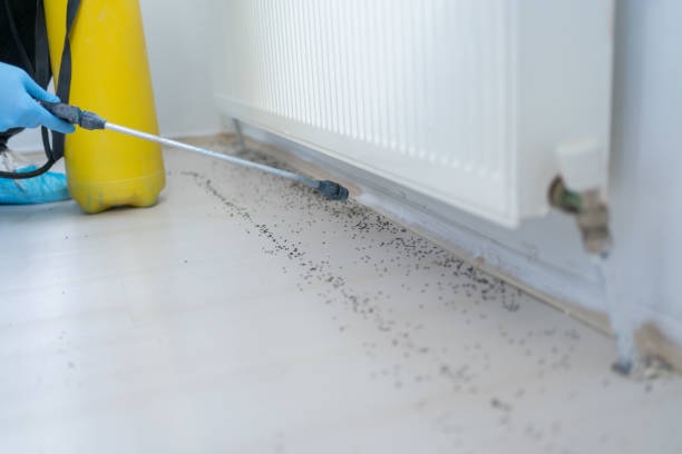 Best Pest Control Near Me in Minnetrista, MN