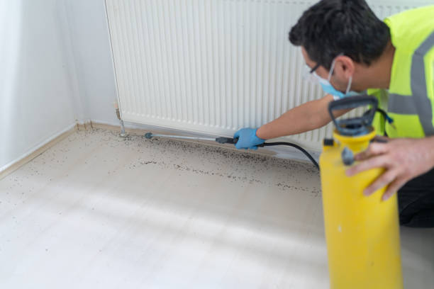 Professional Pest Control in Minnetrista, MN